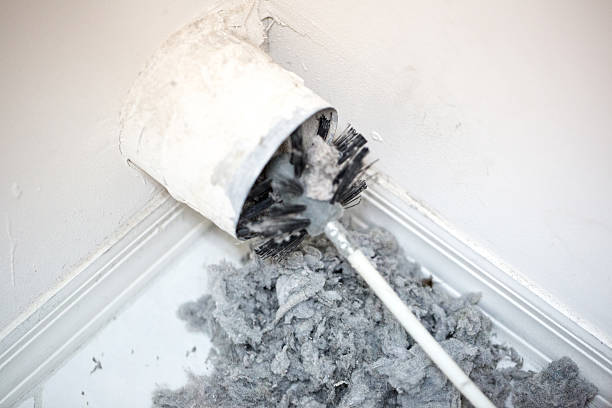 Best Duct Cleaning Specialists  in Cold Spring, KY